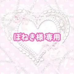 ぽねき様 リクエスト 2点 まとめ商品