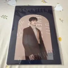 seventeen ウォヌ アイドル