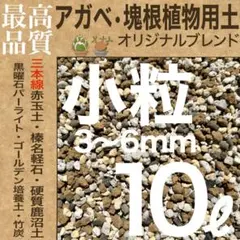 三本線赤玉土使用】アガベ・塊根植物用土「小粒」 10㍑グラキリス 現地
