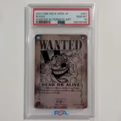 2025年最新】バギー 手配書 psa10の人気アイテム - メルカリ