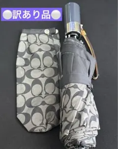 Item thumbnail for item e0377410-6f86-4253-af84-a93f7066bc02