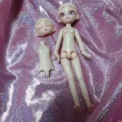 パラボックルM　カスタム