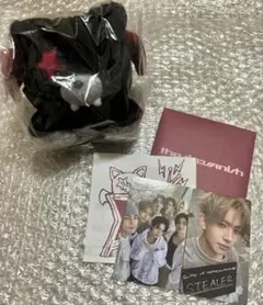 ENHYPEN THE SIN : VANISH ボイスキーリング　ヒスン