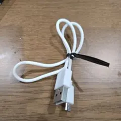 40cm USB-A to Micro USB ケーブル ホワイト