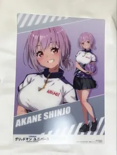 希少 レア グリッドマン 新条アカネ 原画 クリアファイル 希少 レア グリッドマン 新条アカネ 原画 クリアファイル - メルカリ