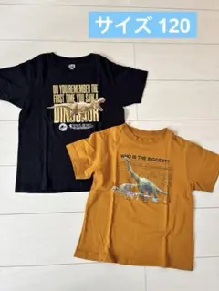 恐竜デザイン Tシャツ 120cm 2枚セット