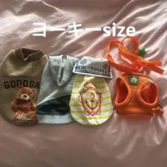 Item thumbnail for item 0332fc17-8f4a-4f41-98fa-a91753e5a270