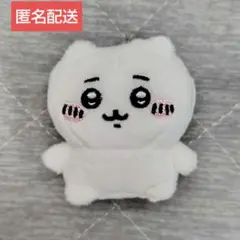 ちいかわ おすわりぬいぐるみ キタンクラブ