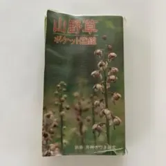 山野草ポケット図鑑 - メルカリ