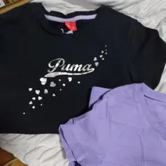 格安２枚セットでこのお値段！　Puma Tシャツセット 黒と紫