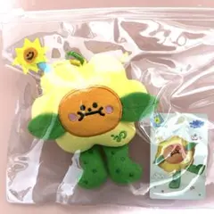 2026年最新】joongdunk ぬいぐるみの人気アイテム - メルカリ