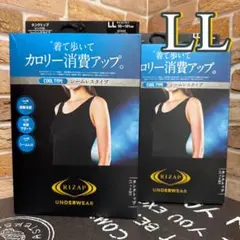 Item thumbnail for item 13be5366-c6a8-4048-834d-0461f55c3fea