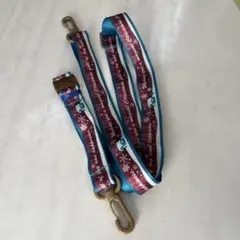 ポップコーンバケット　紐 ストラップ　ディズニー　未使用