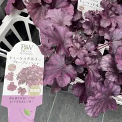 エクリュ様 リクエスト 5点 まとめ商品