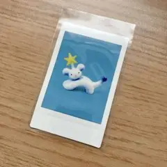 タテヤマフユコ チェキ