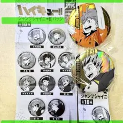 ハイキュー 日向翔陽 シャイニー缶バッチ ヨーショー - メルカリ