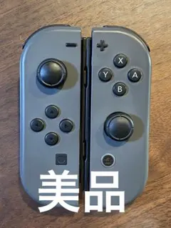 Nintendo Switch グレー ジョイコンLRセット