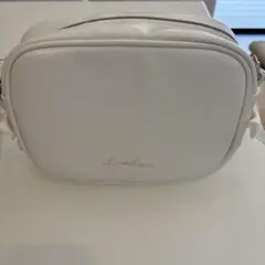 Item thumbnail for item 3607cb22-b36d-4be2-b8dd-43579599a036