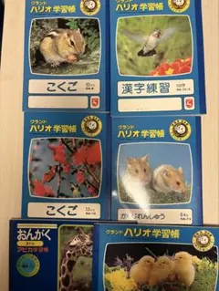 平成 レトロ メモ帳 ノート わんこ連絡帳 生徒手帳 あゆみ - メルカリ