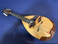2026年最新】落合マンドリンの人気アイテム - メルカリ