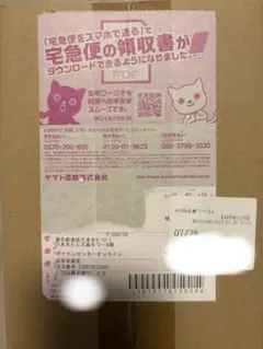 未開封ポケモンワールドチャンピオンシップ2023 ピカチュウデッキ横浜記念デッキ