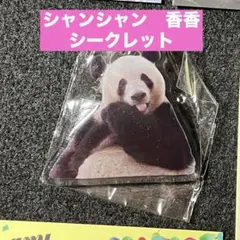 シャンシャン