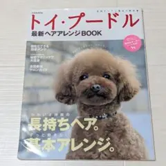 Item thumbnail for item 6b00c04c-516b-4fd2-986b-a8c9bef3f296