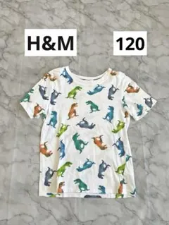 【120】H&M恐竜デザインTシャツ　エイチアンドエム　カラフル恐竜