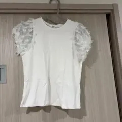 sindel Tシャツ