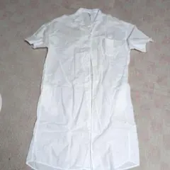 Item thumbnail for item d106faa2-72b7-4fc4-88ed-1f99ec8c2143