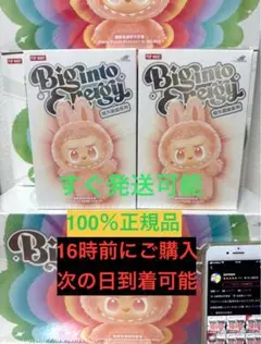 【正規品・未開封】 Labubu Big into Energy 2箱 ラブブ