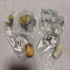 モンスターハンター 捕獲し隊4 全4種コンプリート