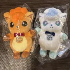 ポケモン ローカル Acts 物産展 ぬいぐるみ ロコン アローラロコン 未