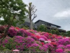 Item thumbnail for item 0065ba48-ea6b-44f8-97dd-ab725b3619a1