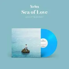 gottz AQUA レコード SUNSET kandytown - メルカリ