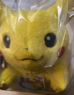ポケットモンスター ポケモン30周年記念 おかえり！ピカチュウ1/1
