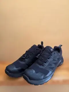 Item thumbnail for item 780a7497-ad45-4aa6-91fd-e78b7c5ad2f4