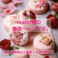 mactf様の専用ページです。