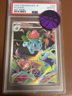 フシギソウ AR PSA10 M1L 065/063 Ivysaur PSA10鑑定済〕フシギソウ【AR】{065/063}