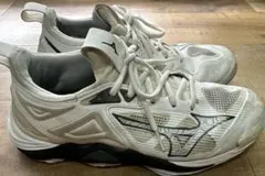 Item thumbnail for item 368bda36-0df1-48f6-bdfb-b88d242aaab7