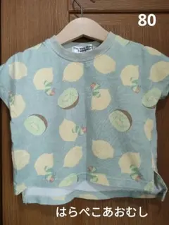 The Very Hungry Caterpillar Tシャツ 80