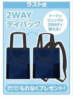 ローソンくじ 日向坂46 2WAYデイパック ラストワン賞 - メルカリ