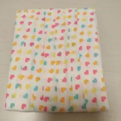 Item thumbnail for item 489022dc-6526-4fe6-842a-aebfec3dd4a6