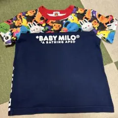 Item thumbnail for item 100799c8-7e67-4ce5-8dff-2e869b73a3bc