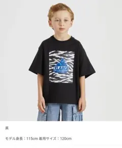 新品 エクストララージキッズ ゼブラ柄 半袖 Tシャツ 110㎝