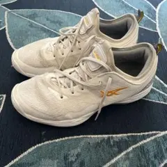 Item thumbnail for item 09271164-9229-42b8-836b-3db18edb5886