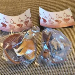 ふんばりーぬ ガチャ 2種セット