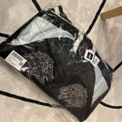 Item thumbnail for item 7457ce87-c50e-4aaa-b376-e72e2928b418