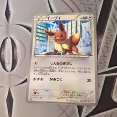 イーブイ ポケモンカード HP50 LV.12 - メルカリ
