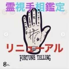 霊視手相鑑定(質問3つまで)